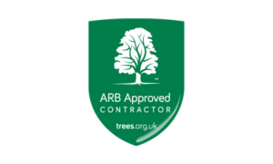 Logo for Carousel (19)